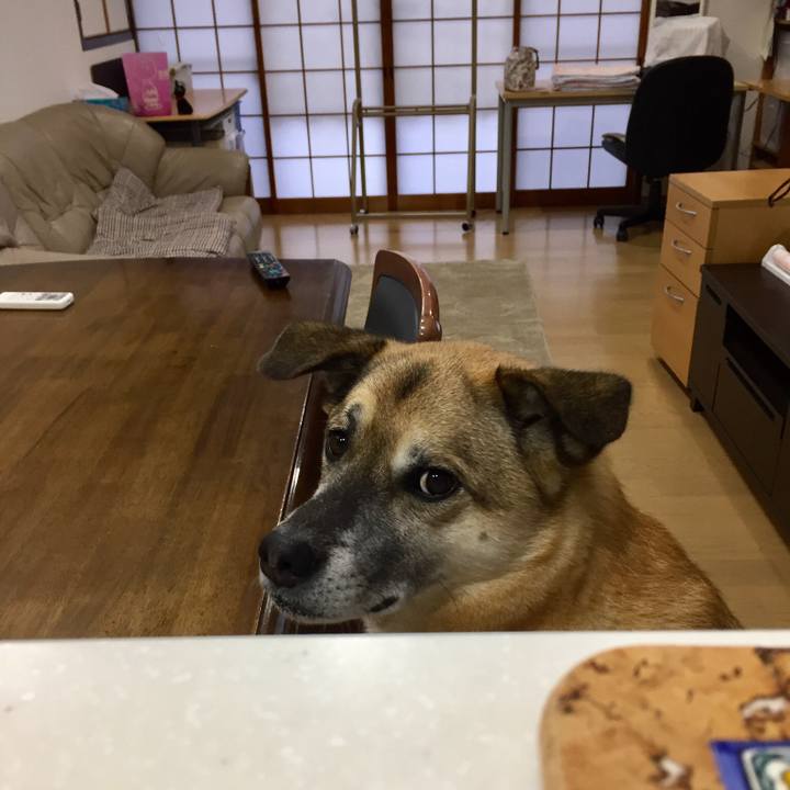 1ae42569 3be9 4a09 9451 04030a69aef5 1515491639069