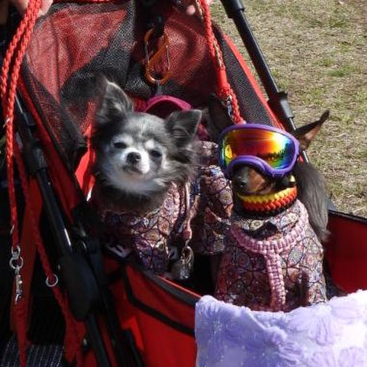 1ae428c7 77fd 4ba1 a207 7ea0185ad875 1774161904121