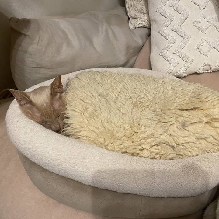 1ae43bf5 b024 4345 8af1 4025c0cfb3ee 1769036077608