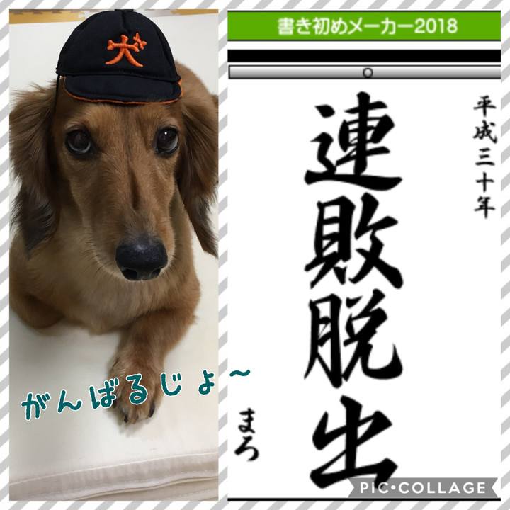 1ae48227 6dba 4be4 8b73 c4aa619014e9 1514955595471