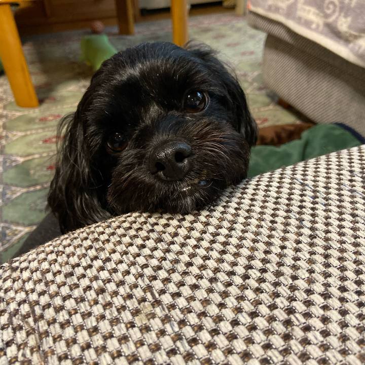 1ae4db00 6665 42ce 94a2 02ad15d79281 1571485918044