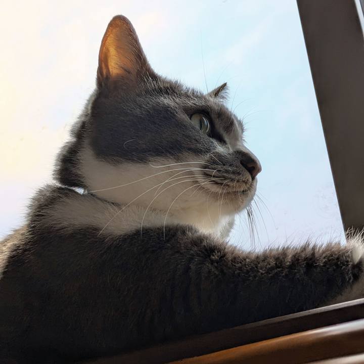 1ae51f70 92e6 46e9 b23c 6797f5cd707a 1727521556309