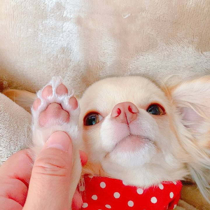 1ae56e73 db22 4f72 aabc f5f7e7a96b29 1627614959801