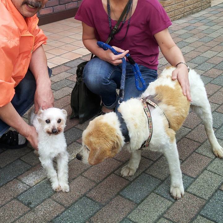 1ae5792c 8b04 4d82 99a3 eb72cf42a144 1551863879974