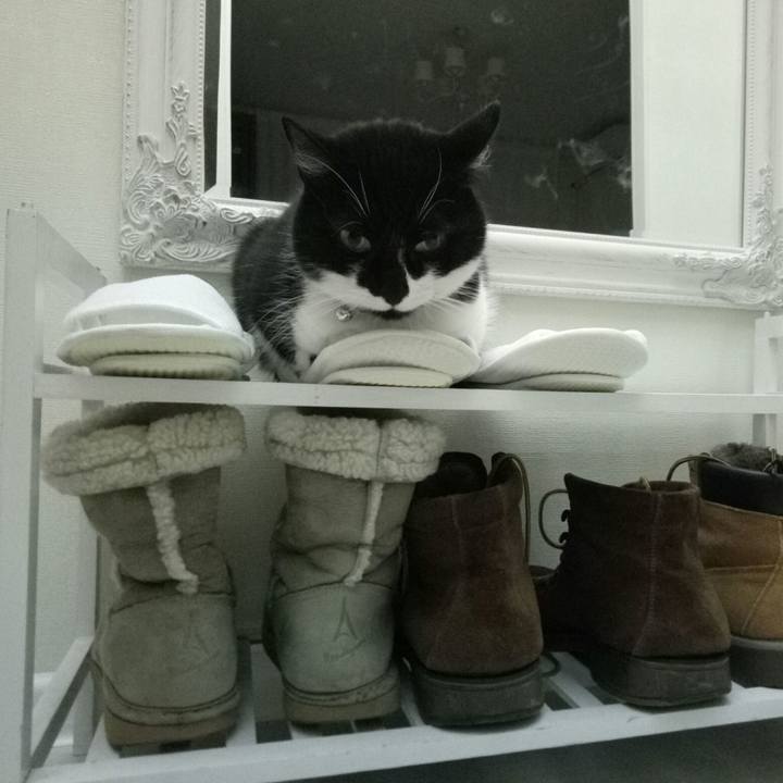 1ae586a5 8be4 4605 a590 0edfaeb0d24a 1515098482393