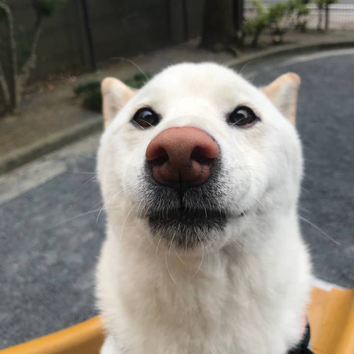 1ae5f232 2826 4ea3 9d7a 0d16cd926581 1530748598745