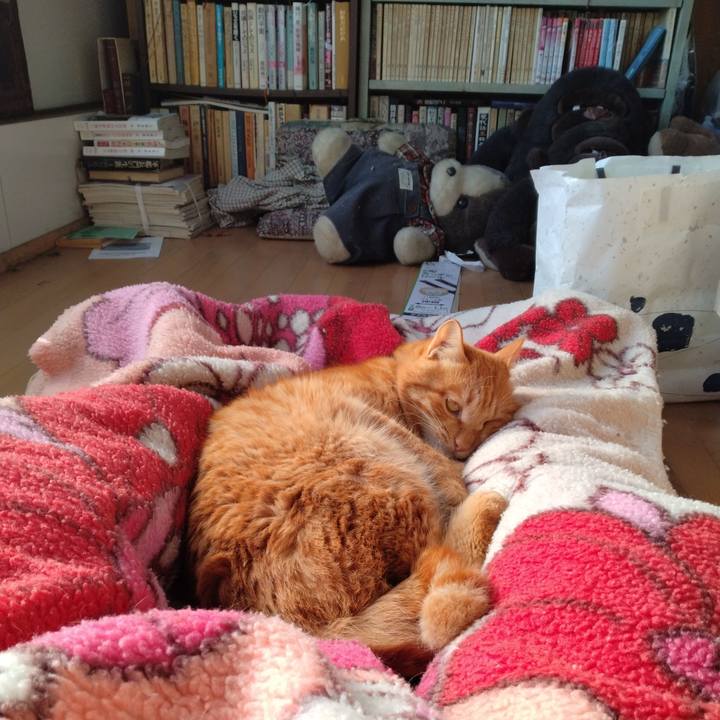 1ae633b7 7ca5 403e 8087 3c2060babad6 1672114659743