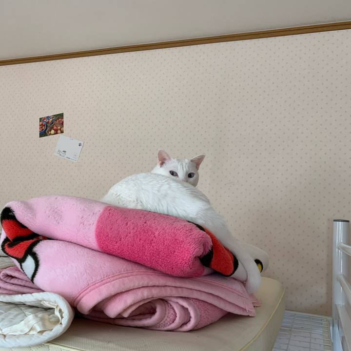 1ae63fcc 4991 4369 8a7c e6586919a3de 1600572741665