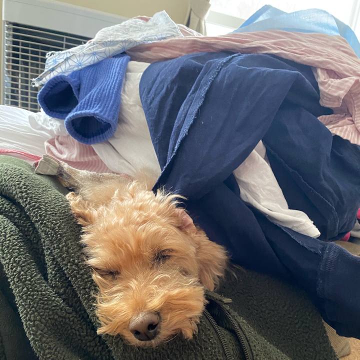 1ae66ef9 628a 42a8 be6c 52a2449ec90b 1675580877416