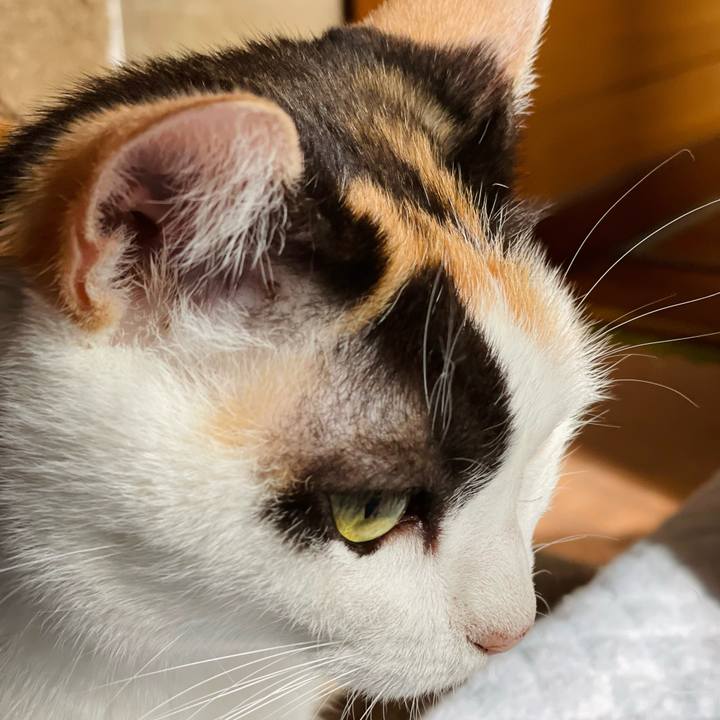 1ae689ca 888b 43fd bf70 4eba92b58845 1659750007683