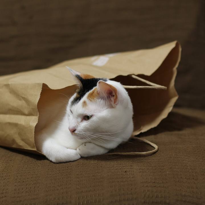 1ae695e1 75df 4229 be26 594319891d37 1598441673809