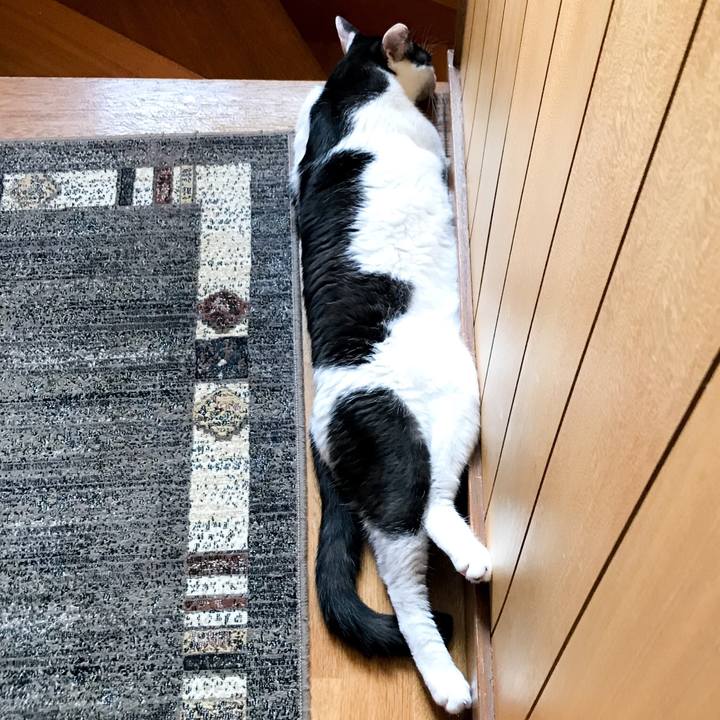 1ae6a80c b518 43eb bbf7 bbe1793d1c0b 1533993010091