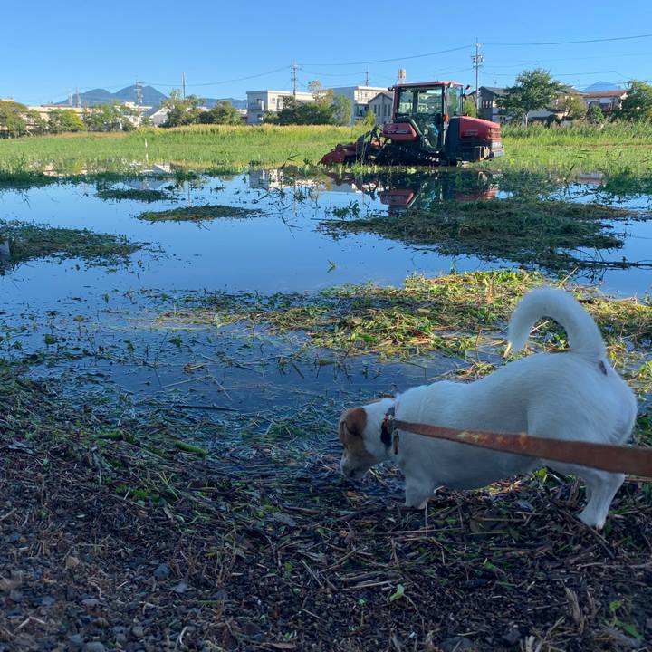 1ae70187 c40b 40a4 8917 e3accdcea006 1570934284964