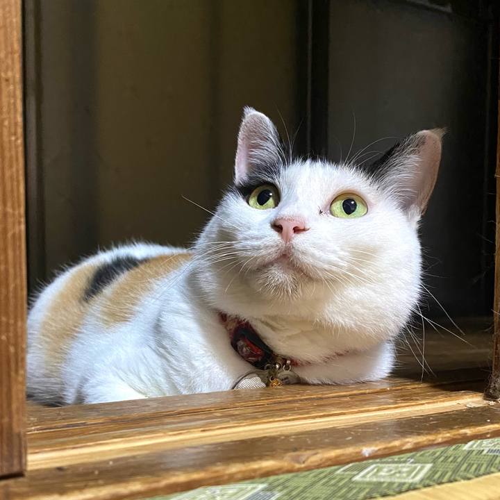 1ae717f3 712a 47b8 b8d9 0db75c960328 1722084462627