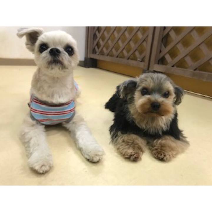 1ae73005 7d66 46e9 8ccf a88f90178f49 1550226703870