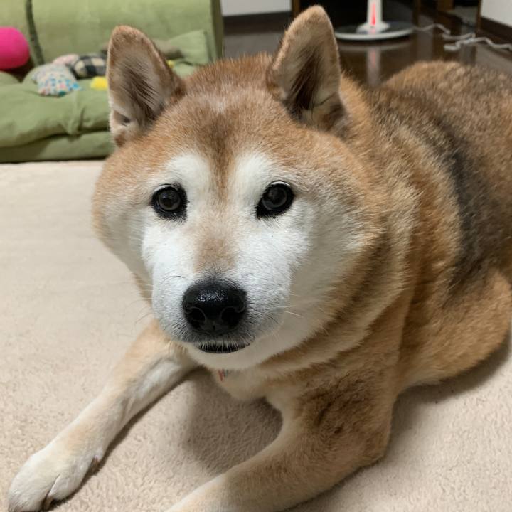 1ae76b21 5762 4a3f 84fc 85ea10931f26 1589458226090