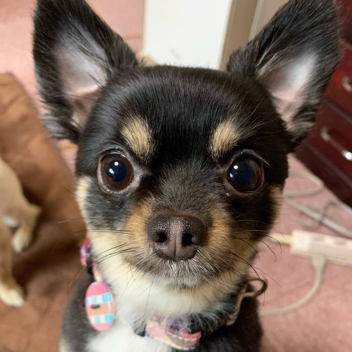 1ae77c55 8d83 40c5 bc0b 2900910d7e15 1553390104477