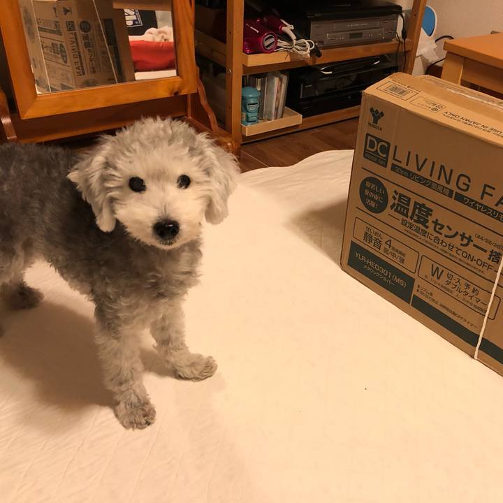 1ae78a1a 4eab 4eea 9a8d b6bf6dc392e9 1602460910567