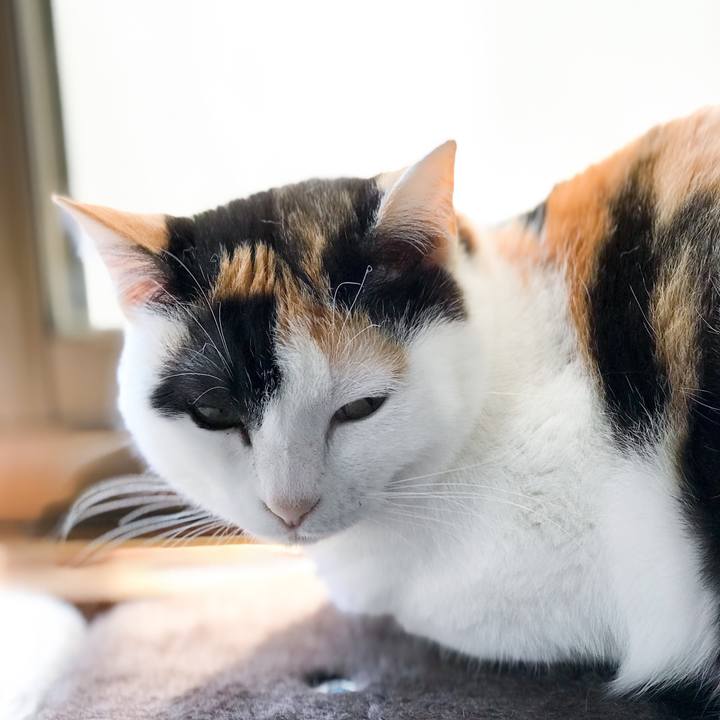 1ae78b4e 0480 4a5a 9777 8bbe55c202de 1525570830436