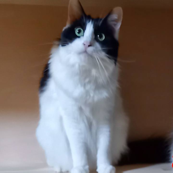 1ae78d99 3a31 4cc8 be3f 77c640083533 1637577416746