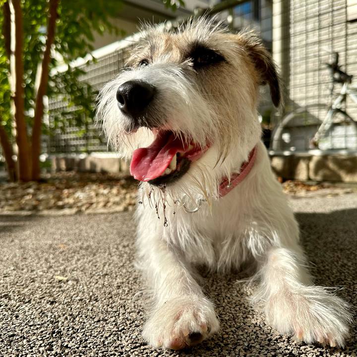 1ae798d9 1dc9 4721 91f4 d4ffa4b7a0a1 1693630537486