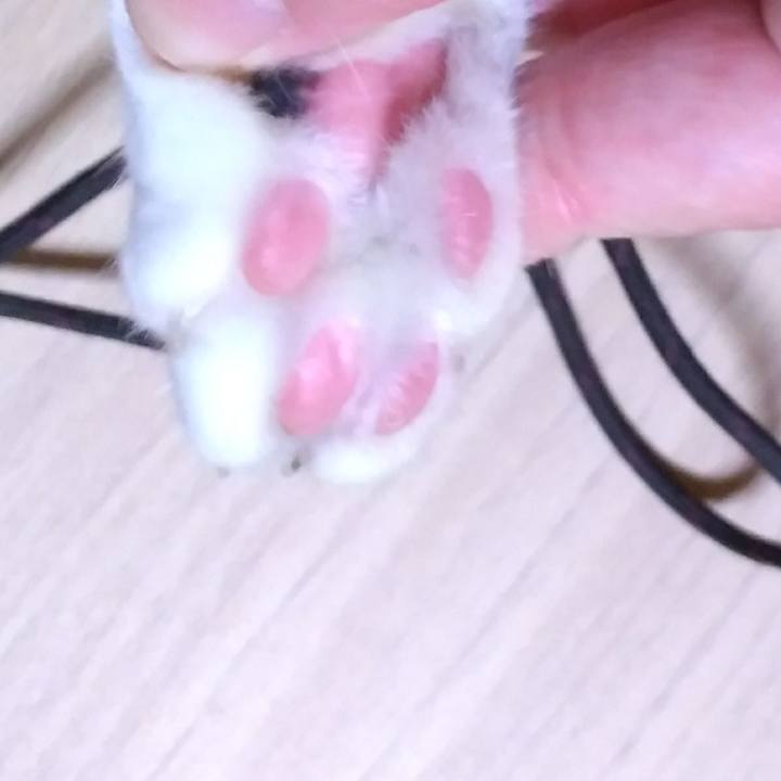 1ae7b15f cee4 464a a740 a46b30e1ecf6 1532779552935