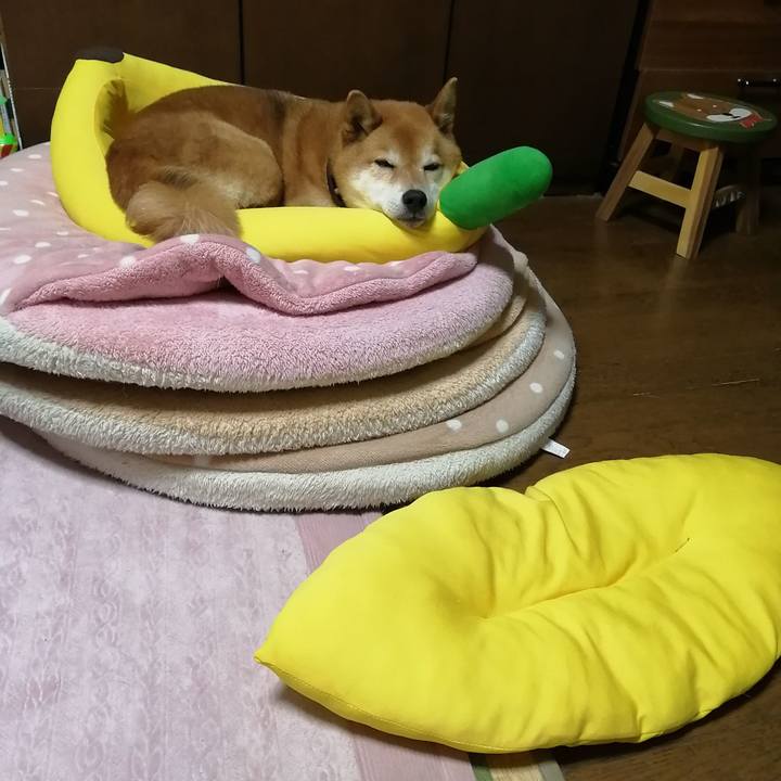 1ae84da1 f805 457d b706 b08fddd6bc47 1681570777008