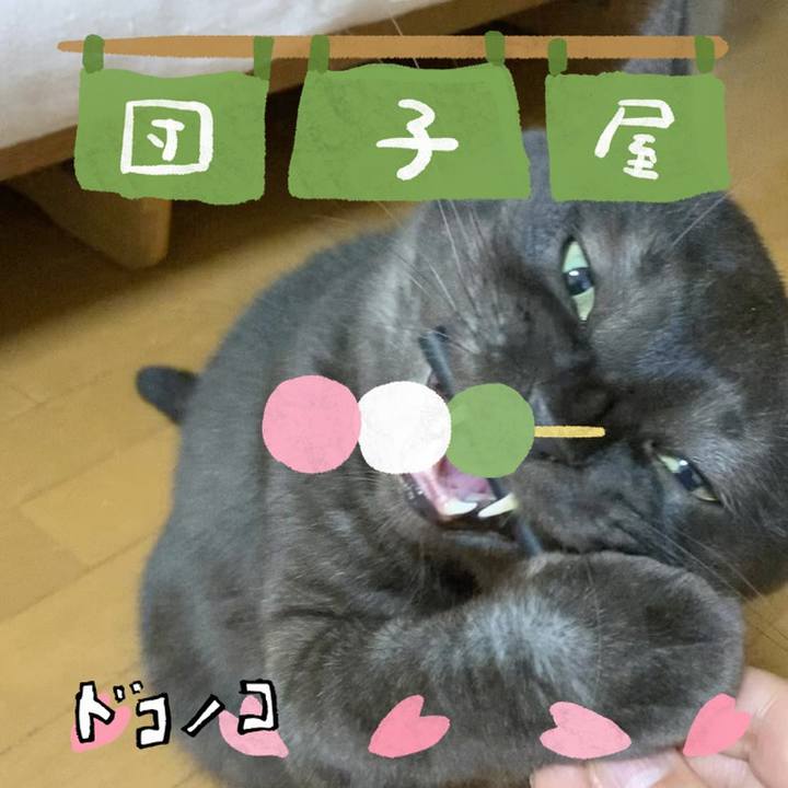 1ae8605e 49ab 4414 8bbb e1ae0f528317 1712358585043