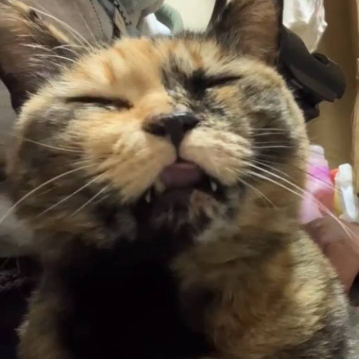 1ae86b61 c17e 479f 9870 b5b08fa26c16 1737978391621