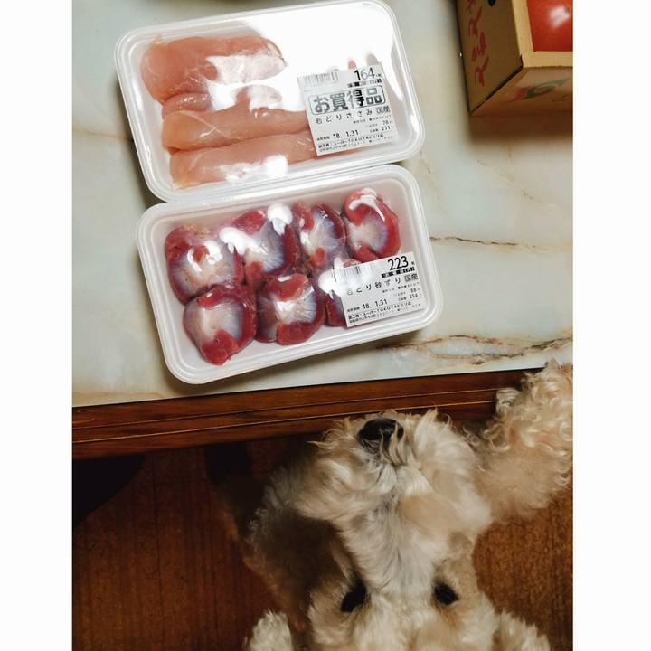 1ae8dd0d 564e 4228 b4c5 c0bda8cfadbe 1517319869574