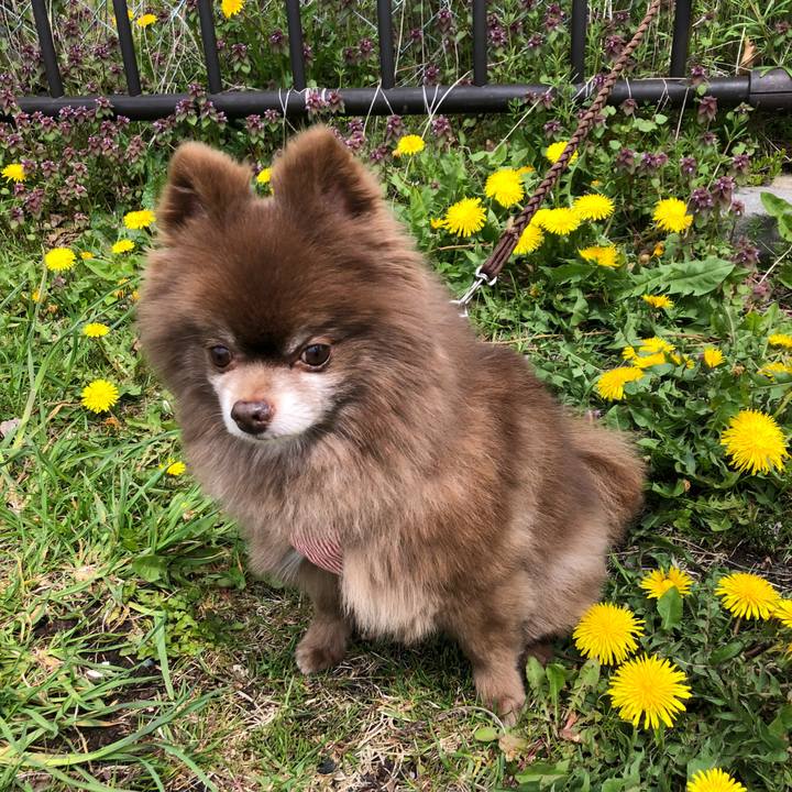 1ae8e810 06bc 4254 aaef 99a11523f423 1588222223832