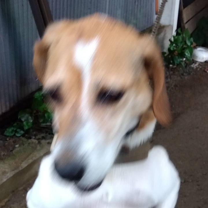 1ae9181f d5c6 47ea 8ec6 be1357e435ef 1688983825256