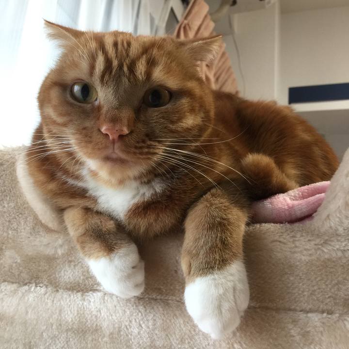 1ae9409d 6af1 4e28 a547 8d03bb2f43b7 1550793842425