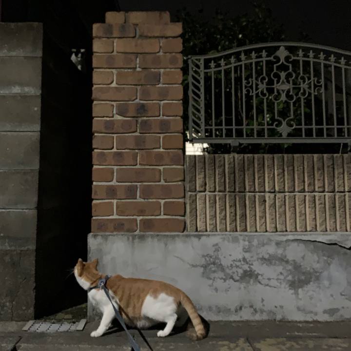 1ae97430 7694 4af1 a501 3b53d5d5f900 1572435881239