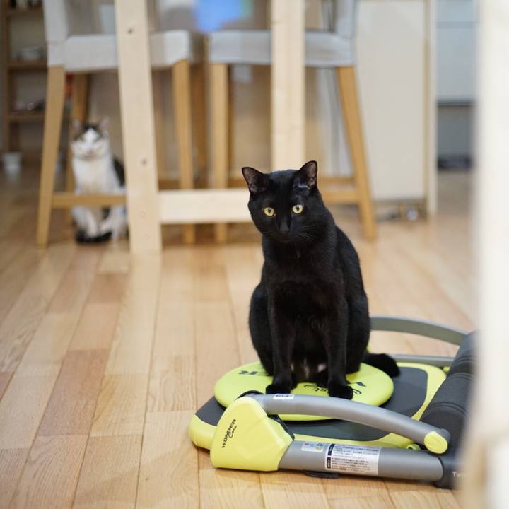 1ae97d55 4cb3 4a95 9f78 eeeb1fb928a8 1519169335168