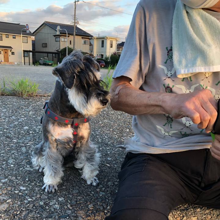 1ae986b2 650f 4ced b1b9 aa2e24433d44 1661688852664