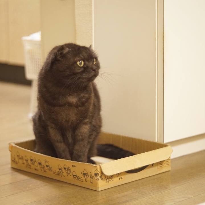 1ae98bf1 64b9 40ba bcd1 76aefc644532 1614685129275