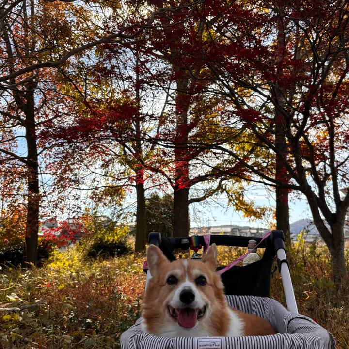 1ae99c9a b3bd 4996 ae35 433e169eed2d 1763949559143