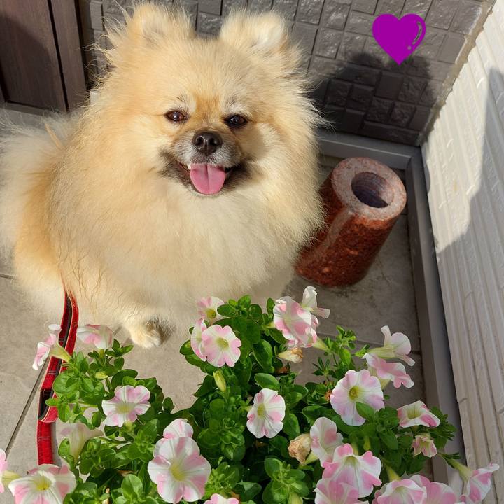 1ae9c026 727b 4832 a73f 917090090103 1651219264991