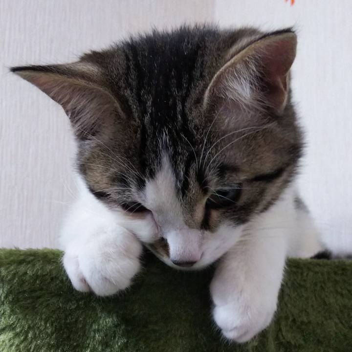 1ae9f465 e77d 4ee5 acd5 bbb05c87dc40 1612612897865