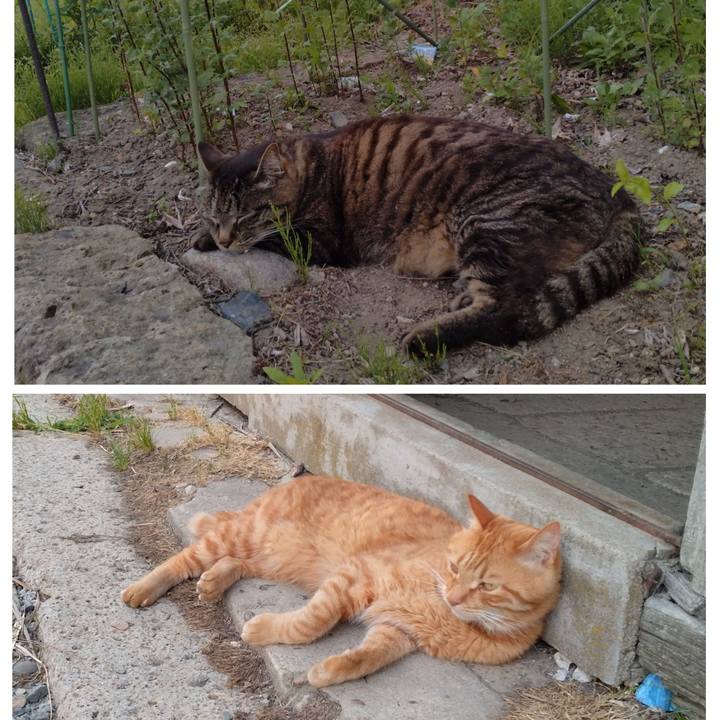 1aea3032 64ac 4cf3 b704 f9c70289b84f 1718274010722