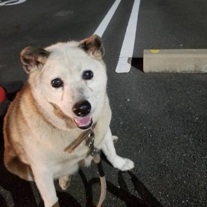 1aea3364 29a2 47de 8572 0a9d4ea7240d 1728211266726