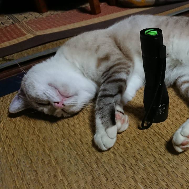 1aea4bf6 6ff4 45ca ae6f a9d7aafa8efa 1565788549278