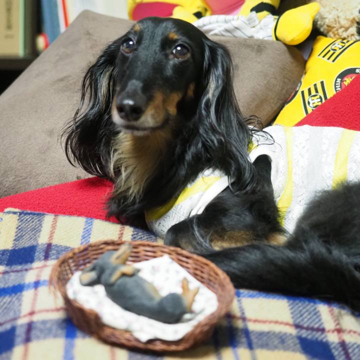 1aea4fa4 b109 4e33 a092 bb5137517209 1626069935755