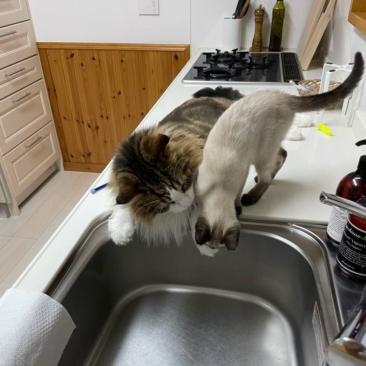 1aea59f9 ac39 41fc a118 b1c41a0d9291 1691623815616