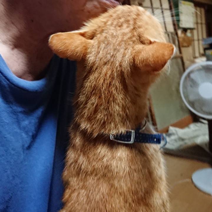 1aeaadb7 0a5c 4350 98eb a066d9947f00 1599594486023