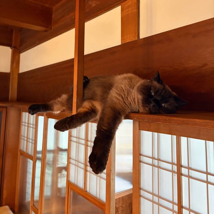 1aeab0b8 d52a 4152 a7ad a118c5394ad6 1770894137907