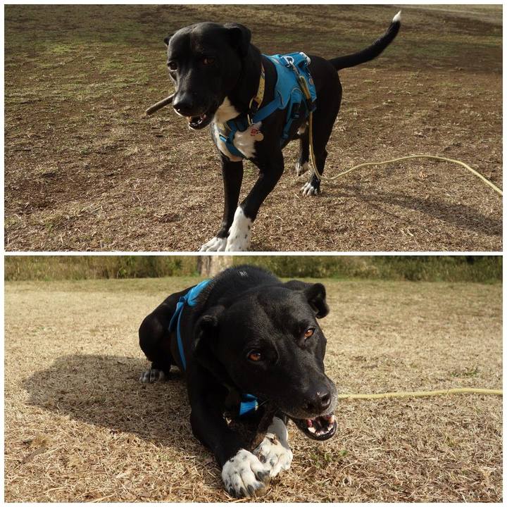 1aead5e8 c7c2 418c af5a 5bbc84ff2334 1614903200143