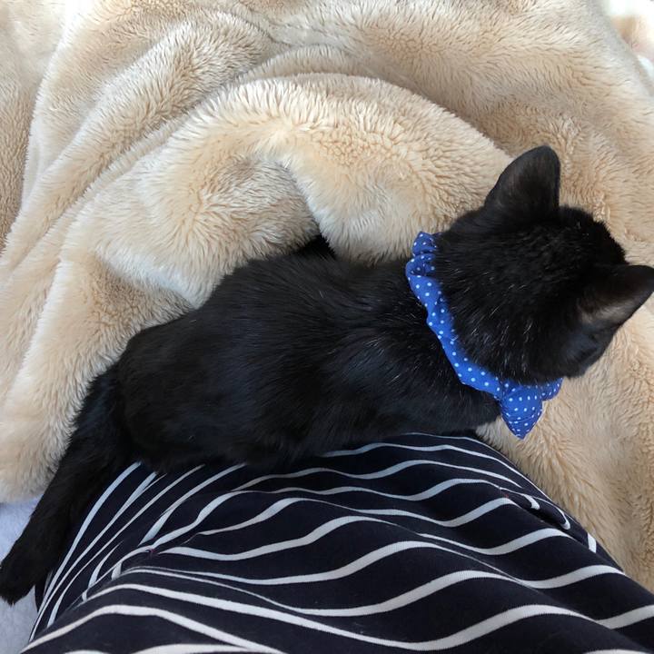 1aeafb72 b4d0 4018 ae2f 47960d2c7089 1553722250236