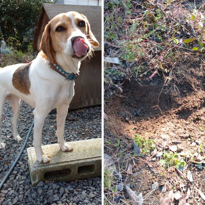 1aeaff3e 9326 4424 b11f a7cf6c7cb38f 1604810580001